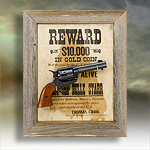 view info on Reward Poster Pistol Framed set