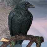 Raven On Branch Statue