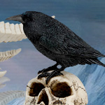 Stone Resin Raven on Skull 7727 by YTC Summit
