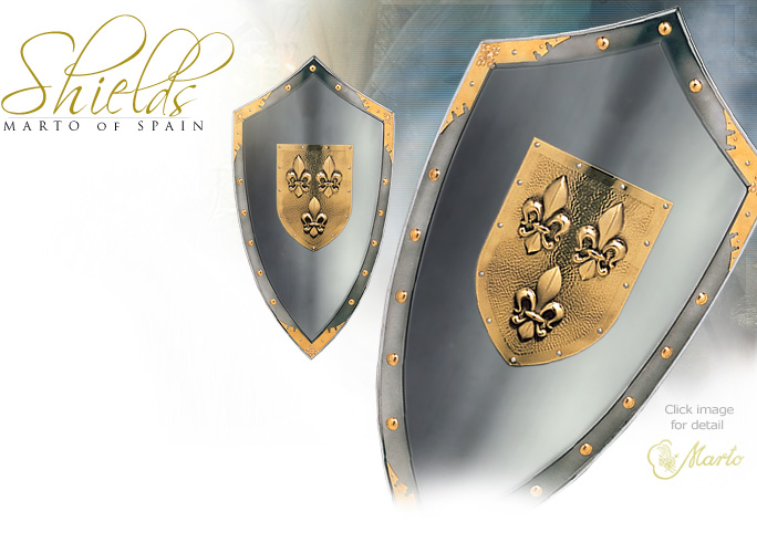NobleWares Image of Duchy of Anjou Shield 970.7 with natural steel finish by Marto Martespa